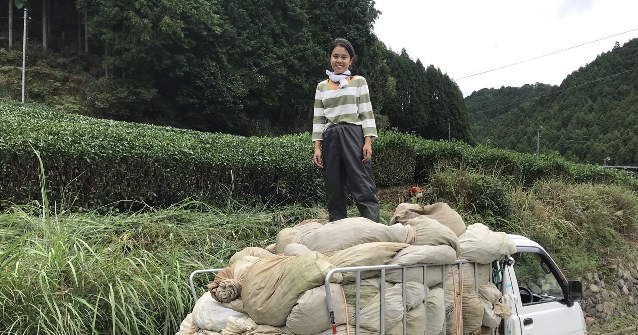 Meet Ryhan, the Singaporean Who Fell Out of Love and Became a Tea Farmer in  Japan